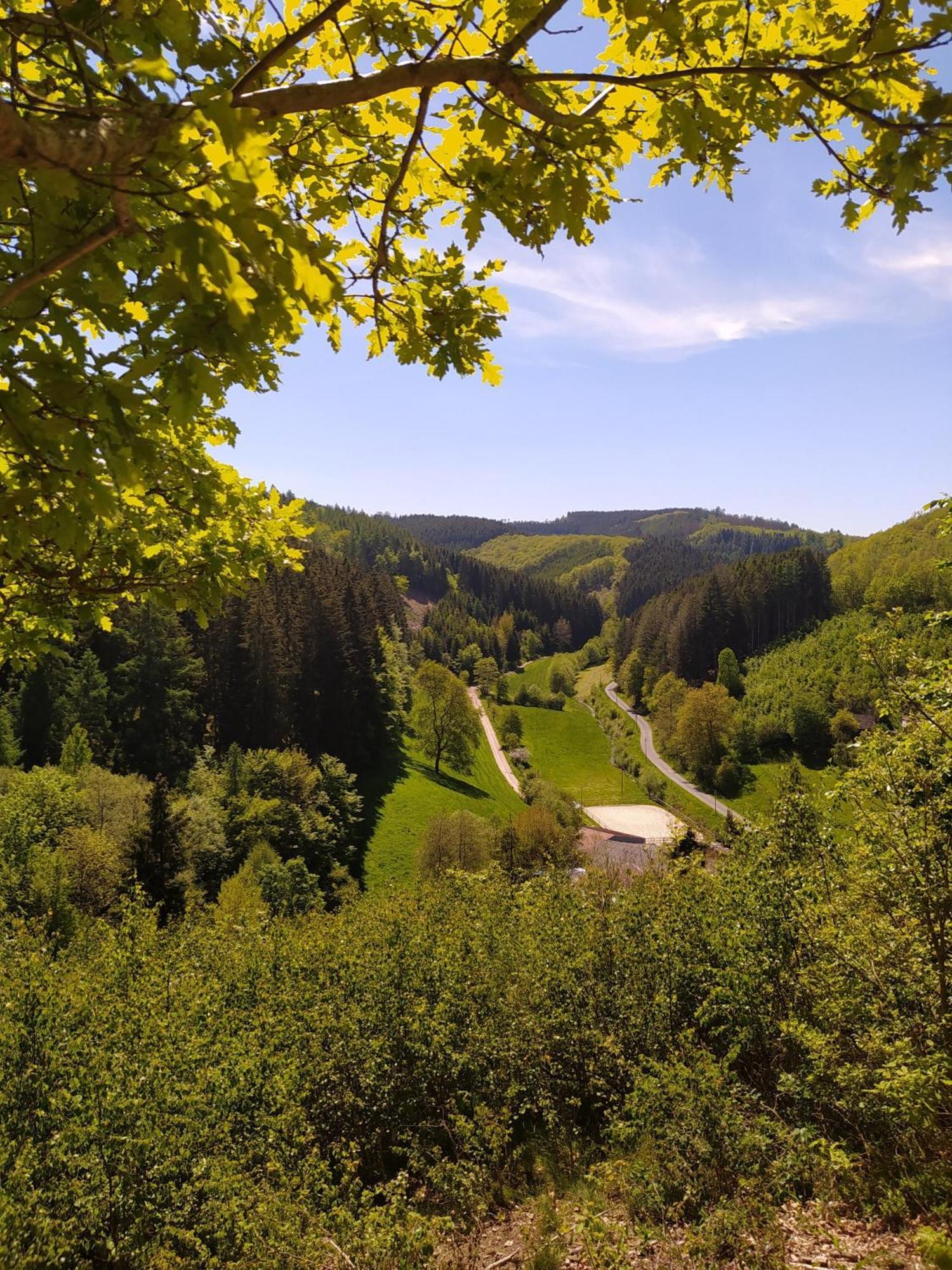 Ferienwohnung Sauerland Burgfenster Lennestadt Exterior photo